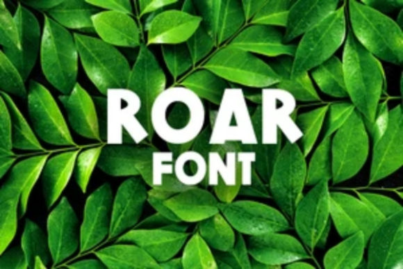 Roar: A Classic and Friendly Display Font for Your Brand