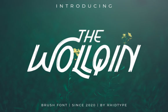 Transform Your Brand with The Wollqin Font